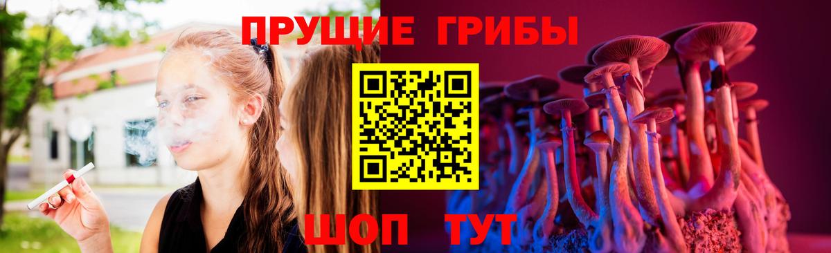 Псилоцибиновые грибы Psilocybe Вичуга
